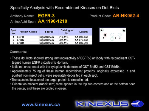 AB-NK052-4P