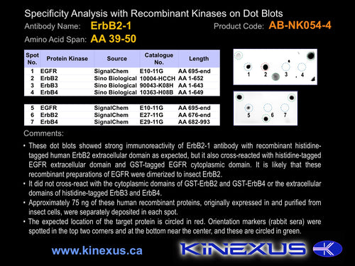 AB-NK054-4P