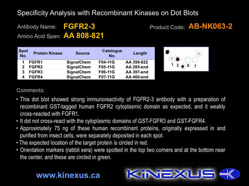 AB-NK063-2P
