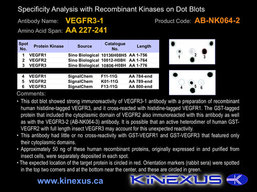 AB-NK064-2P