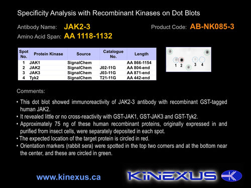 AB-NK085-3P