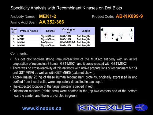 AB-NK100-3