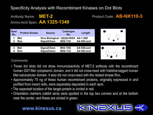 AB-NK110-3