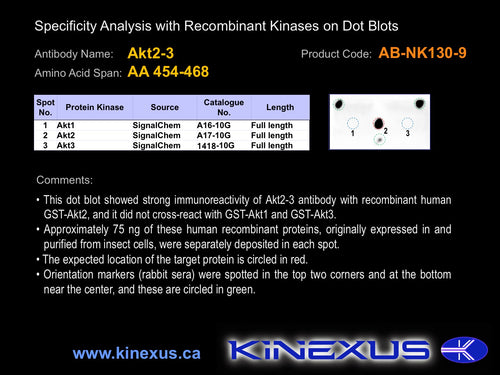 AB-NK130-9P