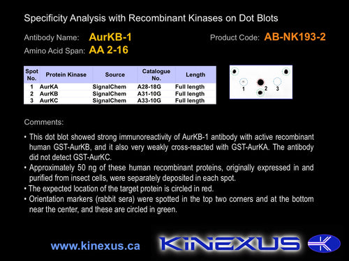 AB-NK193-2P