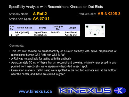 AB-NK205-3P
