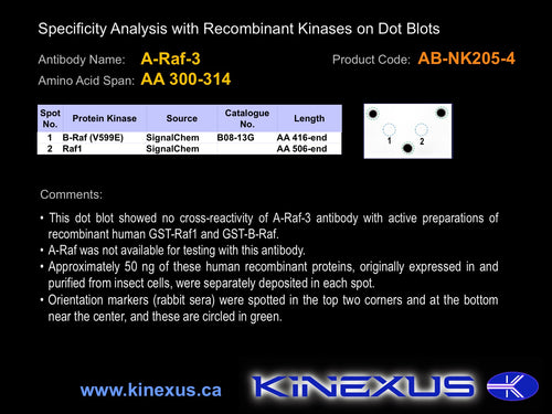AB-NK205-4P