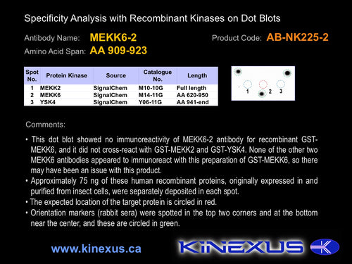 AB-NK225-2P