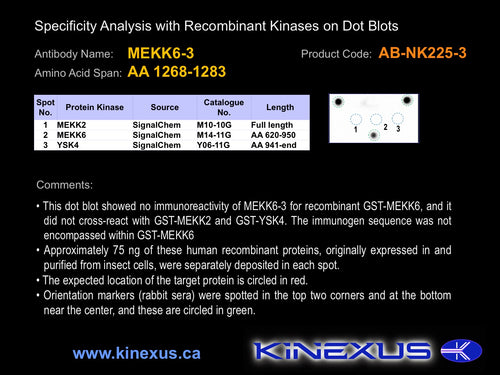 AB-NK225-3P