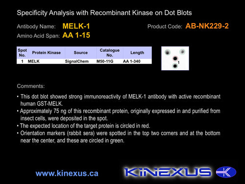 AB-NK229-2P