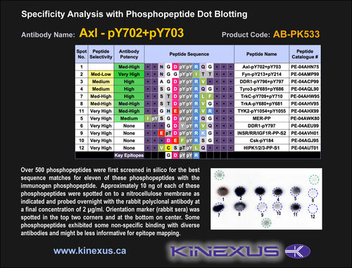 AB-PK533
