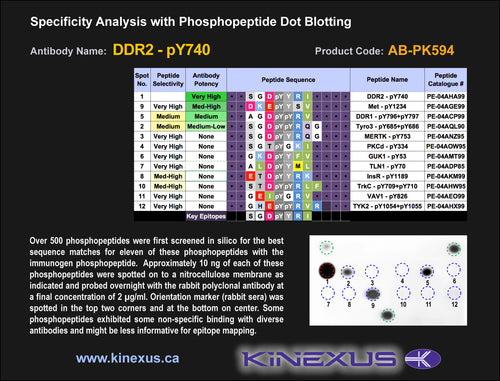 AB-PK594