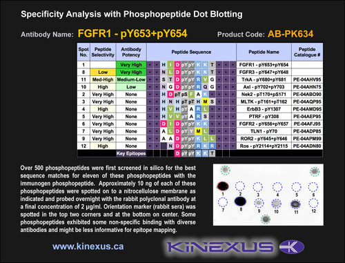 AB-PK634