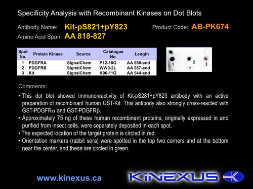 AB-PK674