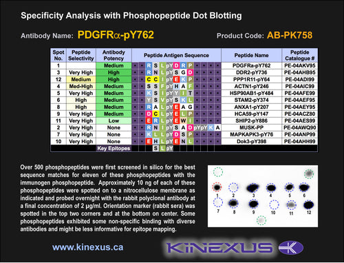 AB-PK758