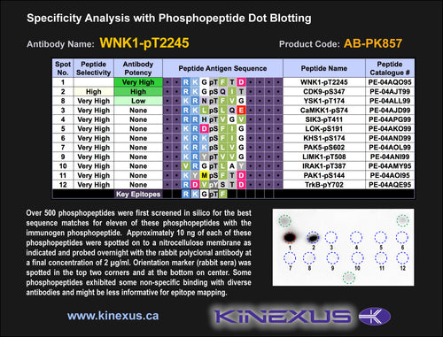 AB-PK857