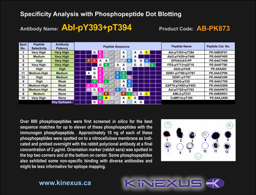 AB-PK873