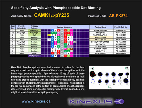 AB-PK874