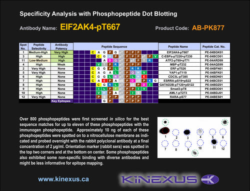 AB-PK877