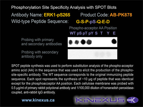 AB-PK878