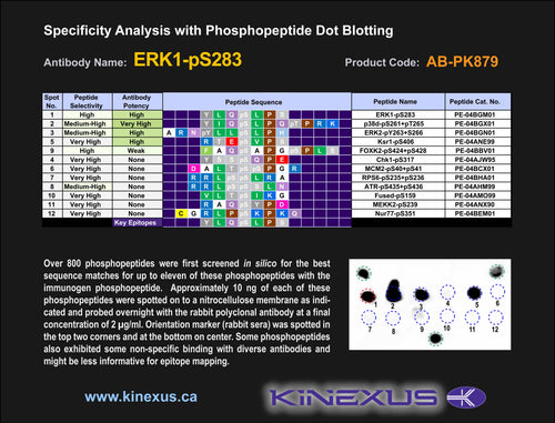 AB-PK879