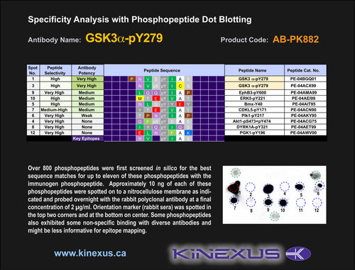 AB-PK882