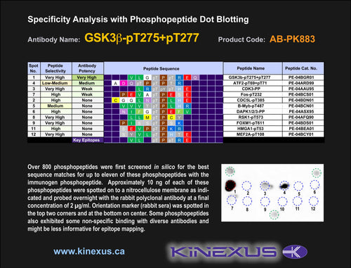 AB-PK883