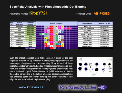 AB-PK885
