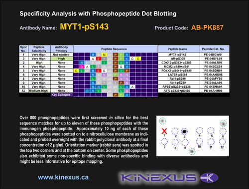 AB-PK887