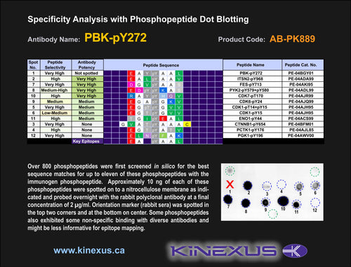 AB-PK889