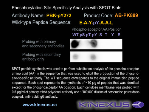 AB-PK889
