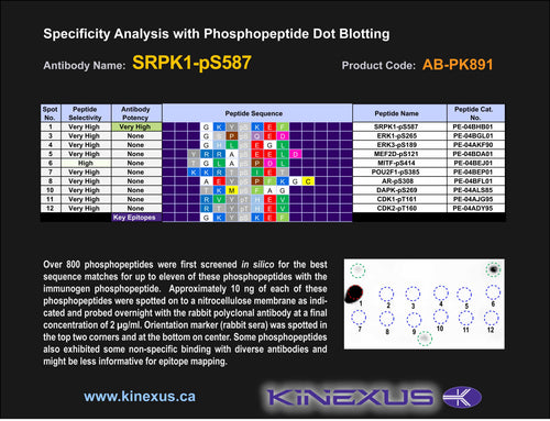 AB-PK891
