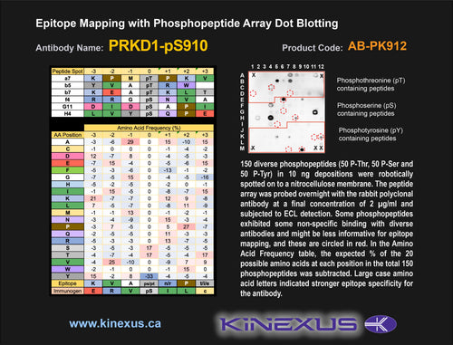 AB-PK912