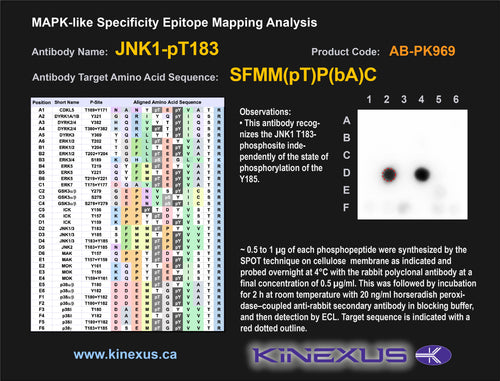 AB-PK969