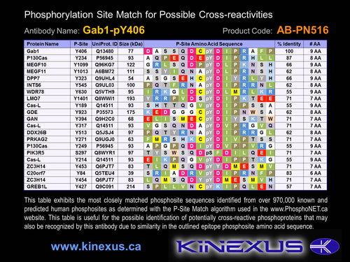 AB-PN516