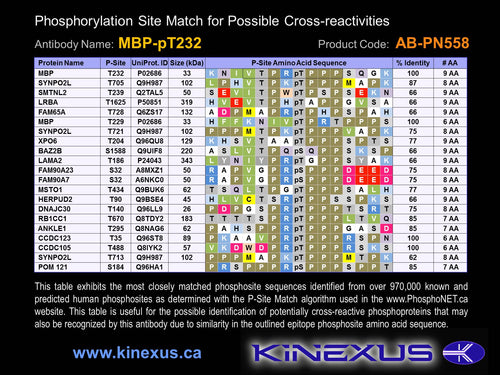 AB-PN558
