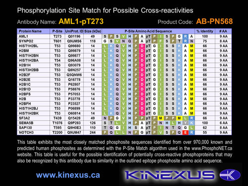 AB-PN568
