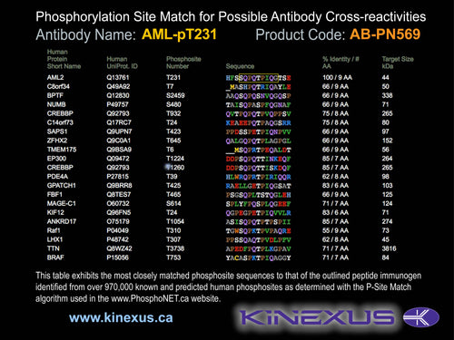 AB-PN569
