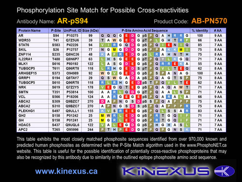 AB-PN570