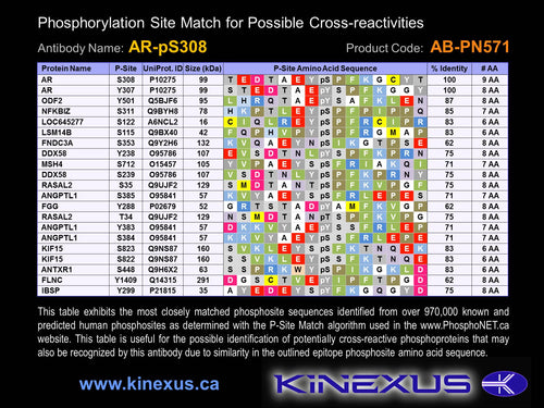 AB-PN571