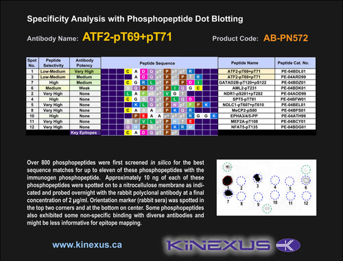 AB-PN572