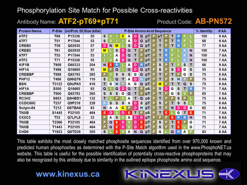 AB-PN572