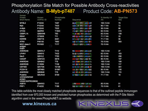 AB-PN573