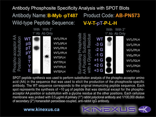 AB-PN573