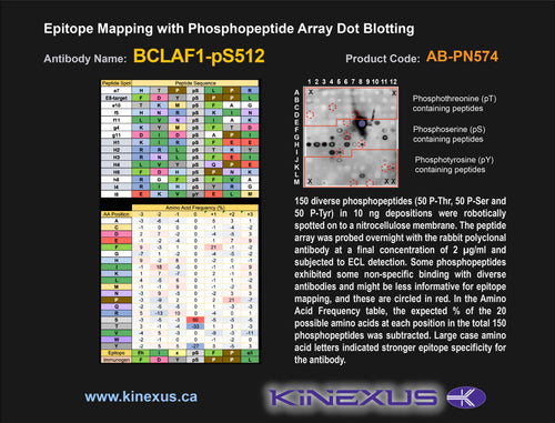 AB-PN574