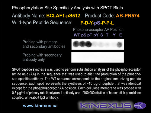 AB-PN574