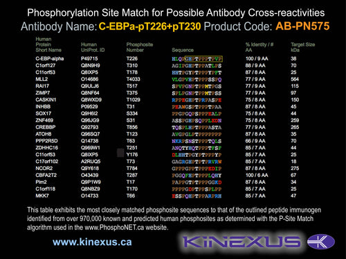 AB-PN575
