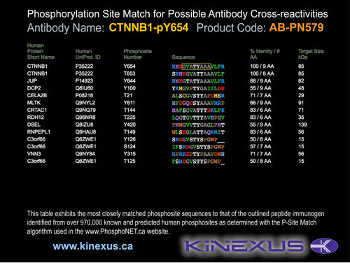 AB-PN579