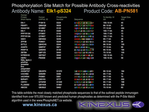 AB-PN581