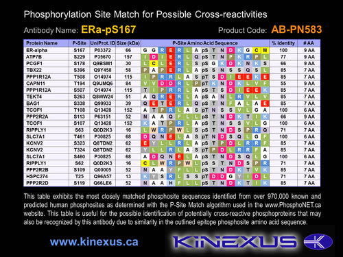 AB-PN583